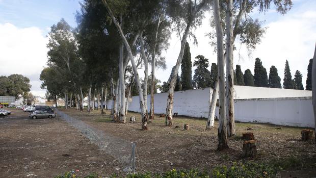 Emplazamiento donde iría el nuevo tanatorio
